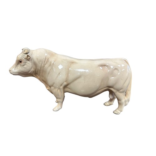 21 - Beswick, Beswick Charolais Cow family to include; Beswick Charolais Bull 2463A, Beswick Charolais Co... 