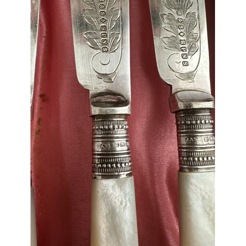 208 - A cased set of 6 fish knives and forks with silver collars and mother of pearl handles. Made by J.A.... 