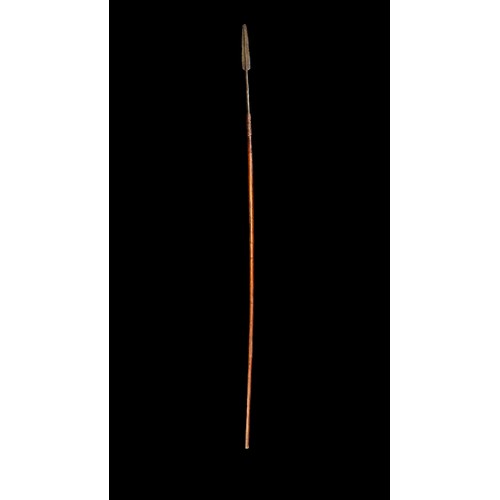 198A - Small Assegai throwing spear, long leaf spear head, thin wooden shaft to spear, binding to upper sha... 