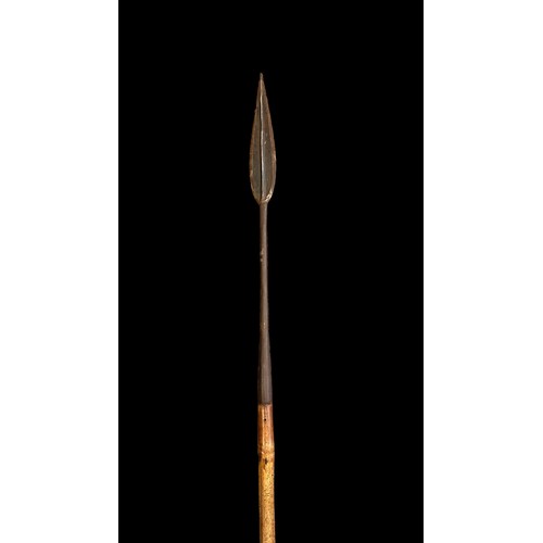 198 - Long iron headed spear, long leaf spear head with seam line down centre affixed to a bamboo shaft, c... 