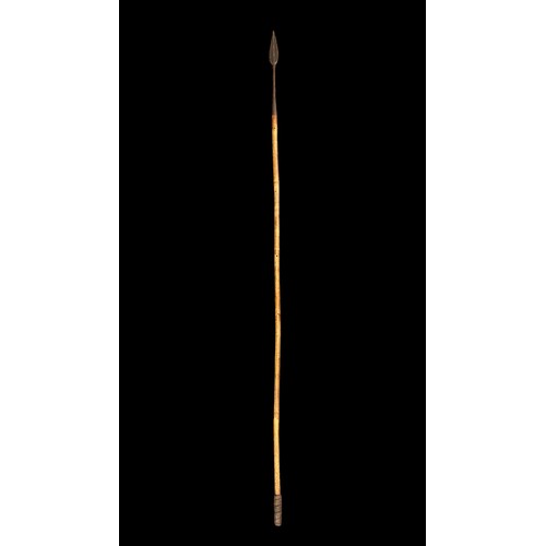 198 - Long iron headed spear, long leaf spear head with seam line down centre affixed to a bamboo shaft, c... 