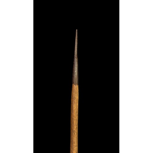 196 - Long double-sides spear, with long narrow iron Spear head with secondary oval section underneath, sm... 