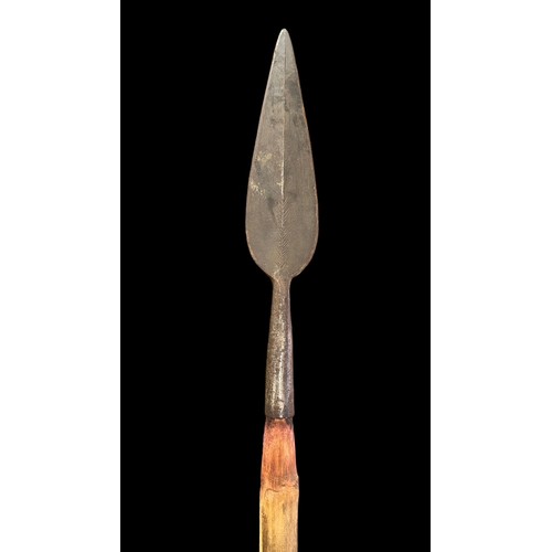 194 - Large bamboo shafted spear with long leaf shaped iron spearhead, stripped bamboo shaft, spear tip le... 