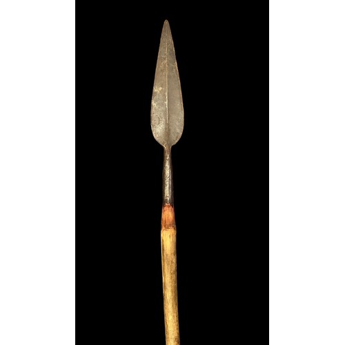 194 - Large bamboo shafted spear with long leaf shaped iron spearhead, stripped bamboo shaft, spear tip le... 