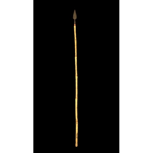 194 - Large bamboo shafted spear with long leaf shaped iron spearhead, stripped bamboo shaft, spear tip le... 