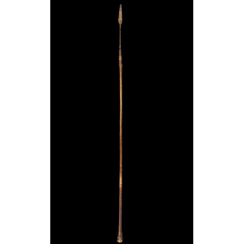 191A - Zulu Assegai throwing spear, slender leaf shaped blade, wooden shaft, fibre binding (some damage), c... 