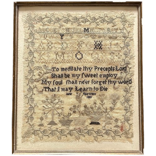 324 - Framed and glazed early 19th Century Embroidery Sampler by Jane Spawton 1801. Floral design to exter... 