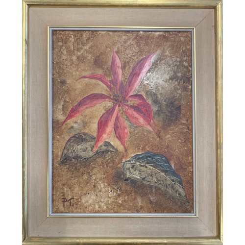 417 - Peter Thorneycroft (British, 1909-1994), ‘Single Poinsettia’ oil on board, of a Poinsettia. Signed i... 