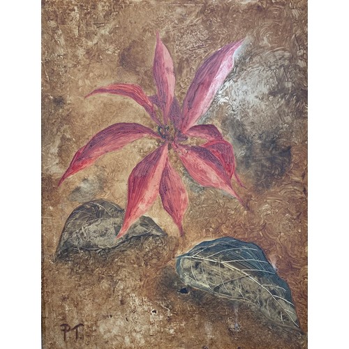 417 - Peter Thorneycroft (British, 1909-1994), ‘Single Poinsettia’ oil on board, of a Poinsettia. Signed i... 