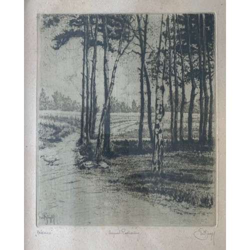 389 - Emil Singer (Austrian, 1881-1942), ‘Waldwiese’ etching on paper. Signed in plate and in pencil to lo... 