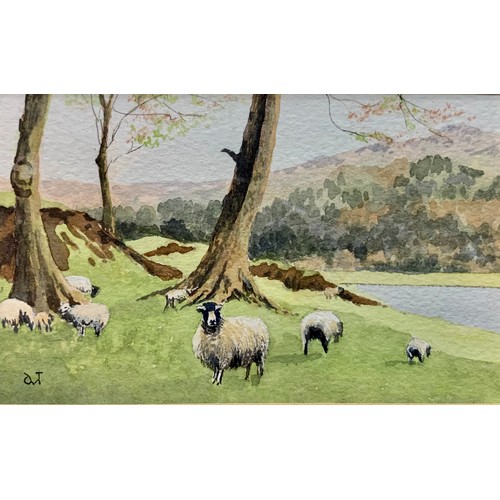 382 - Desmond Treanor (British, 20th Century), pair of miniature watercolour sheep-related landscapes. Ini... 