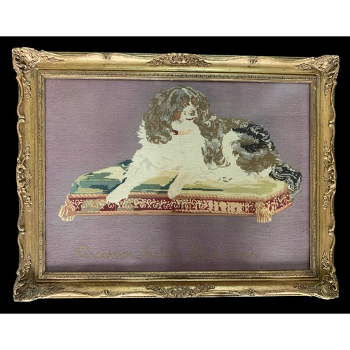 288 - Victorian very large woolwork picture of a seated dog by Catherine Jenkins, 1864. With purple backgr... 