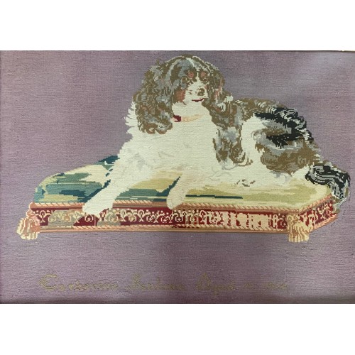 288 - Victorian very large woolwork picture of a seated dog by Catherine Jenkins, 1864. With purple backgr... 