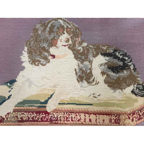 288 - Victorian very large woolwork picture of a seated dog by Catherine Jenkins, 1864. With purple backgr... 