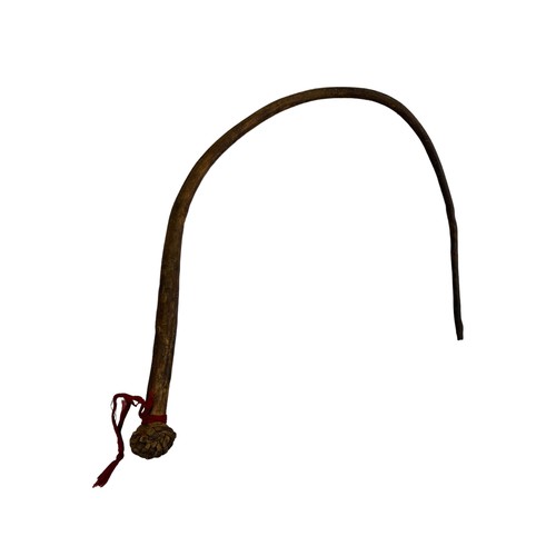 113 - South African hide whip in curved form with woven ball end to grip. Traditional hide African sjambok... 