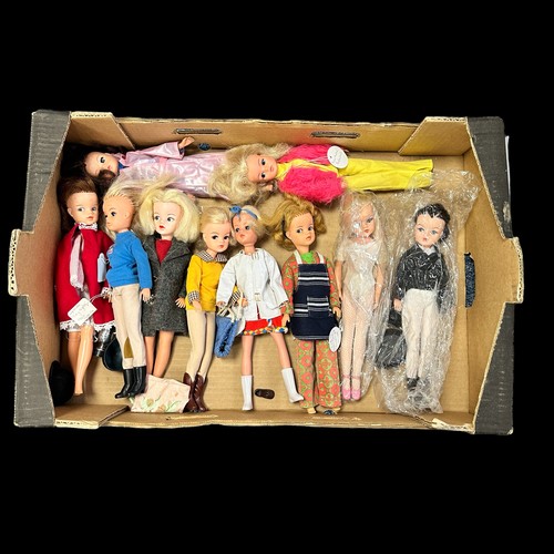 273 - Sindy 1960s onwards dolls collection, generally excellent to good plus, mainly wearing outfits inclu... 