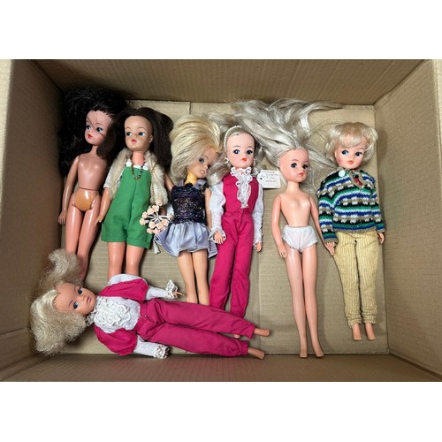 272 - Sindy 1960s onwards dolls collection, generally excellent to good plus, most wearing outfits includi... 