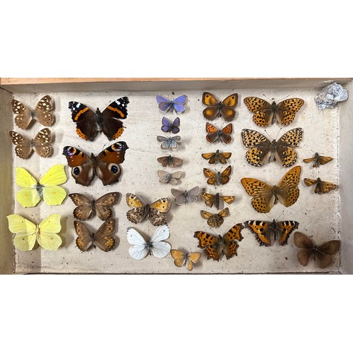 317 - Butterflies, collection of taxidermy butterflies housed in a six-tiered stained pine chest of drawer... 