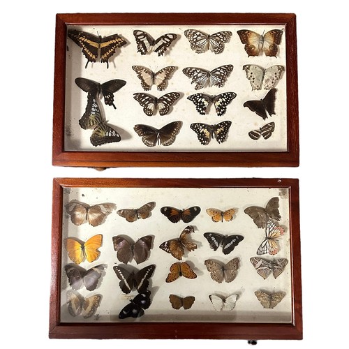 317A - Wooden ten drawer butterfly cabinet, with many interesting specimens, including; Marbled White, Smal... 