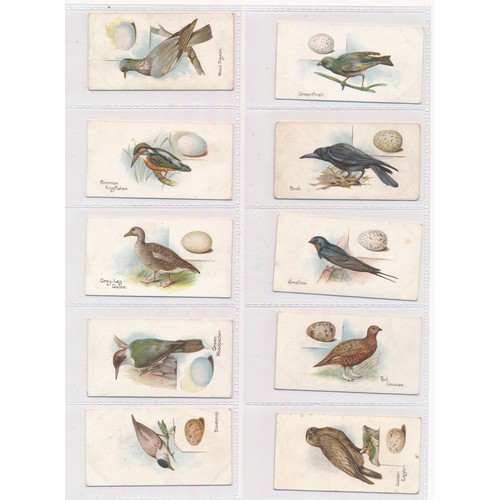 380 - Churchman 1906 Birds & Eggs set (less 1, number 19 is missing), in good to very good condition. Cat.... 