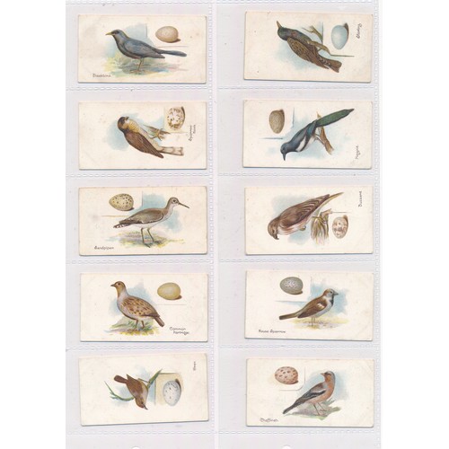 380 - Churchman 1906 Birds & Eggs set (less 1, number 19 is missing), in good to very good condition. Cat.... 