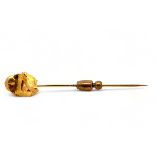 2 - A gold nugget pin. Nugget tested using XRF as 24ct gold, pin tests as 9ct gold. Length 56mm,  5.93g.... 