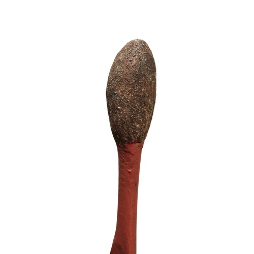 321 - Aboriginal carved wooden Woomera, (spear thrower)  possibly Mulga wood, coated in Red Ochre 86 x 10.