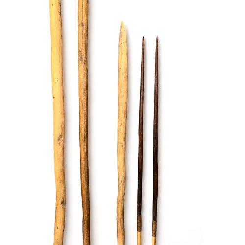 326 - Aboriginal Spears, 5 in all, three throwing spears, lengths 209cm, 202 cm, and 127 cm. Two fishing s... 