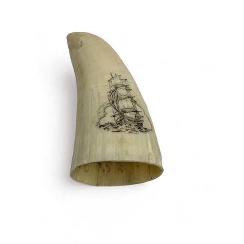 378 - Small scrimshaw whale tooth depicting a bow view of a ship with a background of a cloud. Measures 9c... 