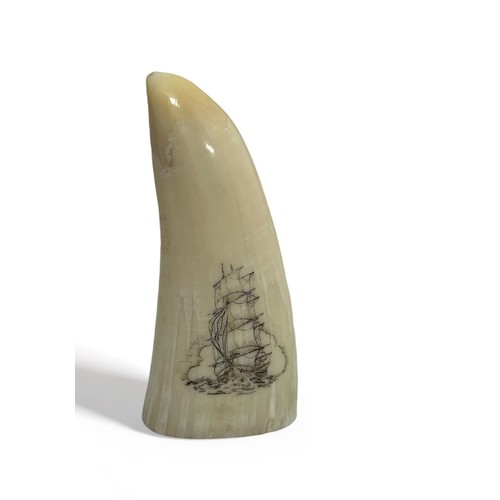 378 - Small scrimshaw whale tooth depicting a bow view of a ship with a background of a cloud. Measures 9c... 