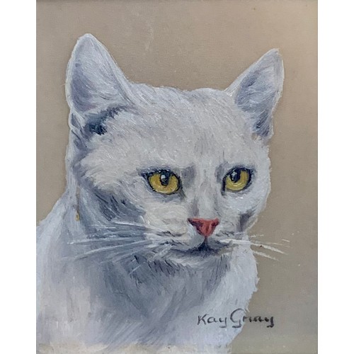 424 - Kay Gray (British), miniature oil on board cat portrait. Signed Kay Gray to lower right. Framed. Han... 