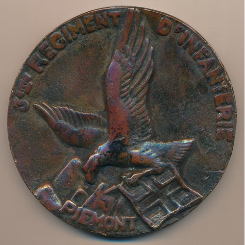 94 - Napoleonic Piémont Infanterie regimental bronze plaque, plaque depicts an eagle in flight underneath... 