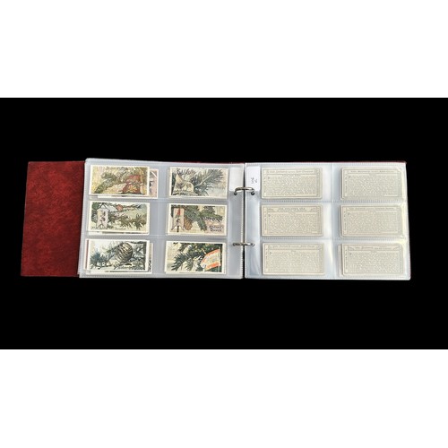 392 - Collection of Stollwerck sets, in plastic sleeves in an album with a total of  31 complete sets of 6... 