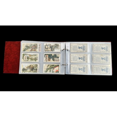 392 - Collection of Stollwerck sets, in plastic sleeves in an album with a total of  31 complete sets of 6... 