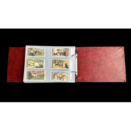 392 - Collection of Stollwerck sets, in plastic sleeves in an album with a total of  31 complete sets of 6... 