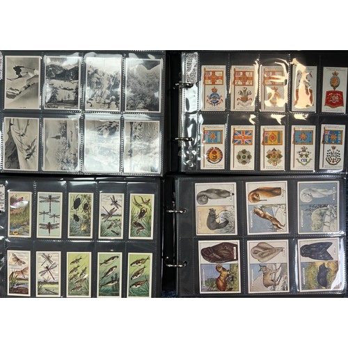 277 - Collection of cigarette cards, mainly complete sets in plastic sleeves, in 8 albums with cover sleev... 