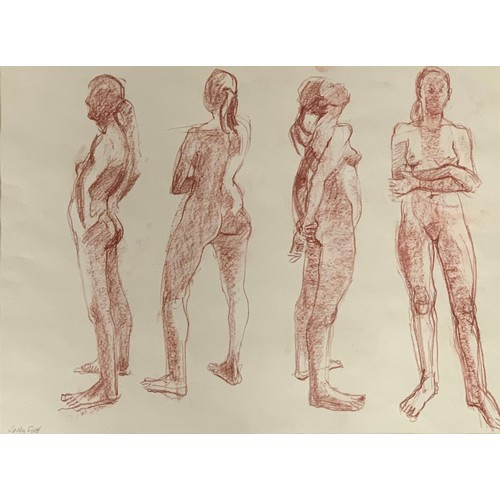 443 - Sally Scott (British, b. 1939), red charcoal on paper sketch of the female form at four angles. Sign... 