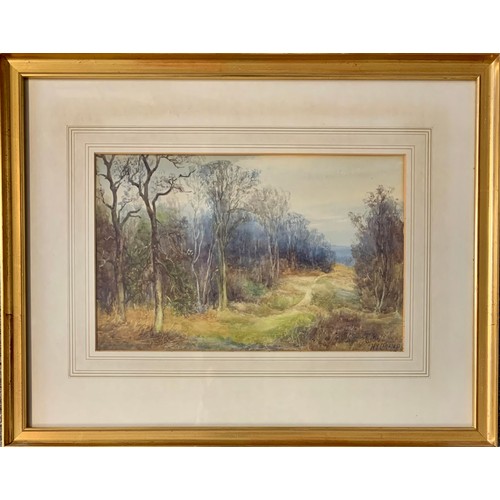 439 - Henry Cramp (British, 19th / 20th Century), Early 20th Century watercolour landscape of a walk leadi... 