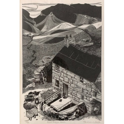 431 - Sarah van Niekerk (British, b.1934), ‘Nant Pasgan Bach’ wood engraving on paper, 33/50. Framed and g... 