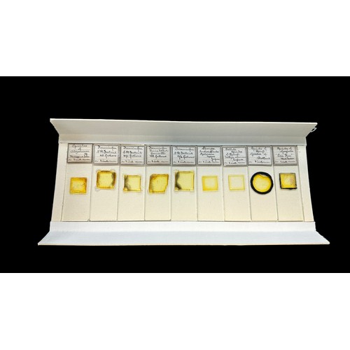 168 - Box containing 12 trays of Vintage Prepared Microscope Slides: Various subjects:  Sponges, Amoeba, F... 