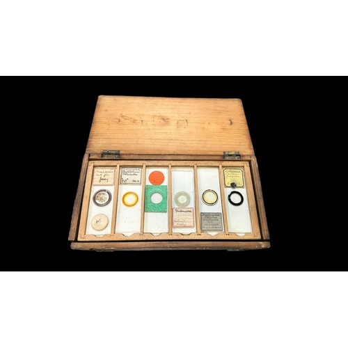 170 - Small Wooden Box of Vintage Microscopic Slides, 22 slides in total showing samples of Fungi, Animals... 