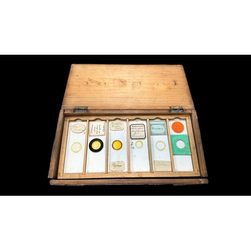 170 - Small Wooden Box of Vintage Microscopic Slides, 22 slides in total showing samples of Fungi, Animals... 