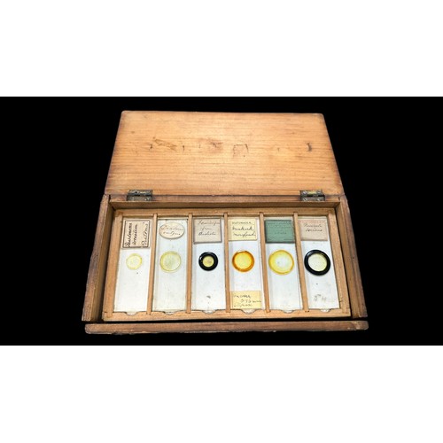 170 - Small Wooden Box of Vintage Microscopic Slides, 22 slides in total showing samples of Fungi, Animals... 