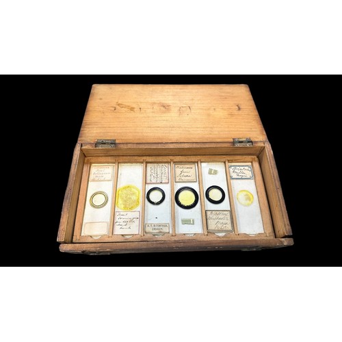 170 - Small Wooden Box of Vintage Microscopic Slides, 22 slides in total showing samples of Fungi, Animals... 