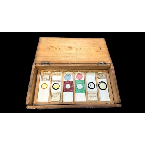 170 - Small Wooden Box of Vintage Microscopic Slides, 22 slides in total showing samples of Fungi, Animals... 