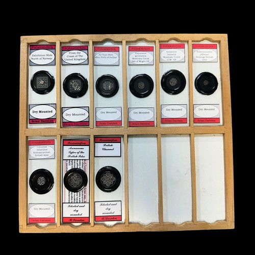 171 - Wooden Box of Vintage Prepared Microscopic Slides, box contains 12 trays of 12 spaces for slides. On... 