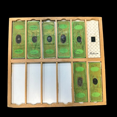 171 - Wooden Box of Vintage Prepared Microscopic Slides, box contains 12 trays of 12 spaces for slides. On... 