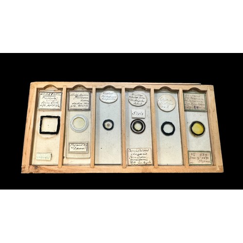 172 - Small Wooden Box of Vintage Microscopic Slides. Box contains 6 trays of 6 slides only 15 have prepar... 