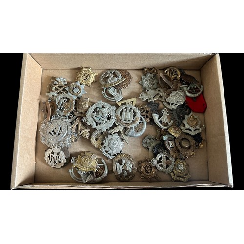 73 - Cap Badges collection, including many better, with Seaforth Highlanders, Notts & Derby, The Royal Dr... 