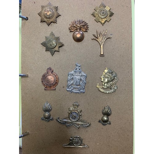 57 - Cap badges, large mixed collection in organised album and loose with many examples of better. Includ... 